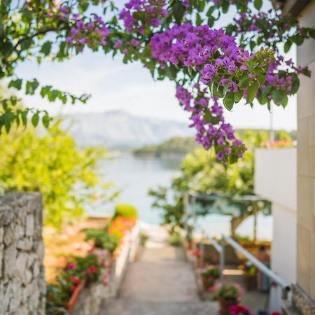 Apartments By The Sea Lumbarda, Korcula - 4446 المظهر الخارجي الصورة