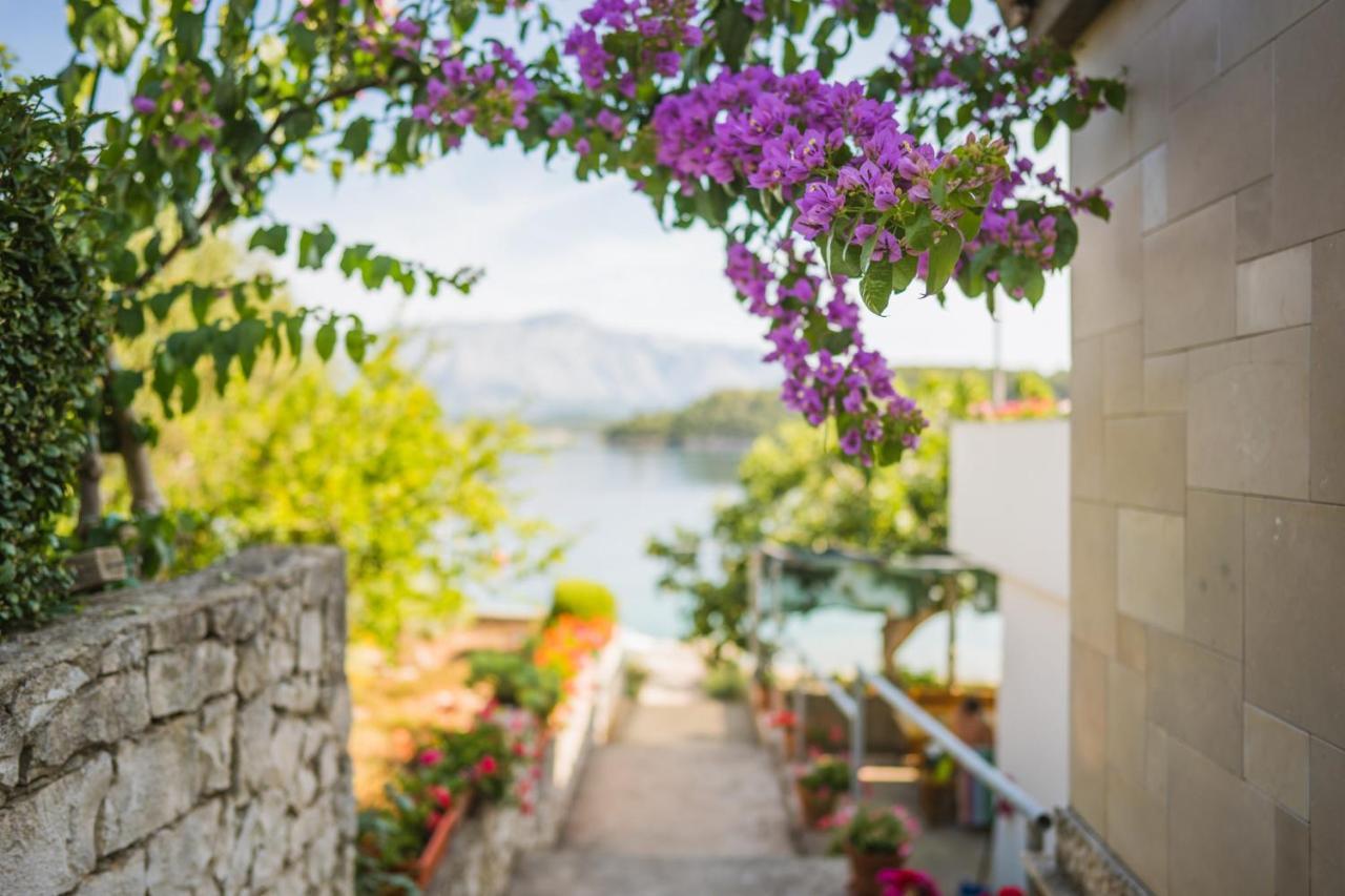 Apartments By The Sea Lumbarda, Korcula - 4446 المظهر الخارجي الصورة