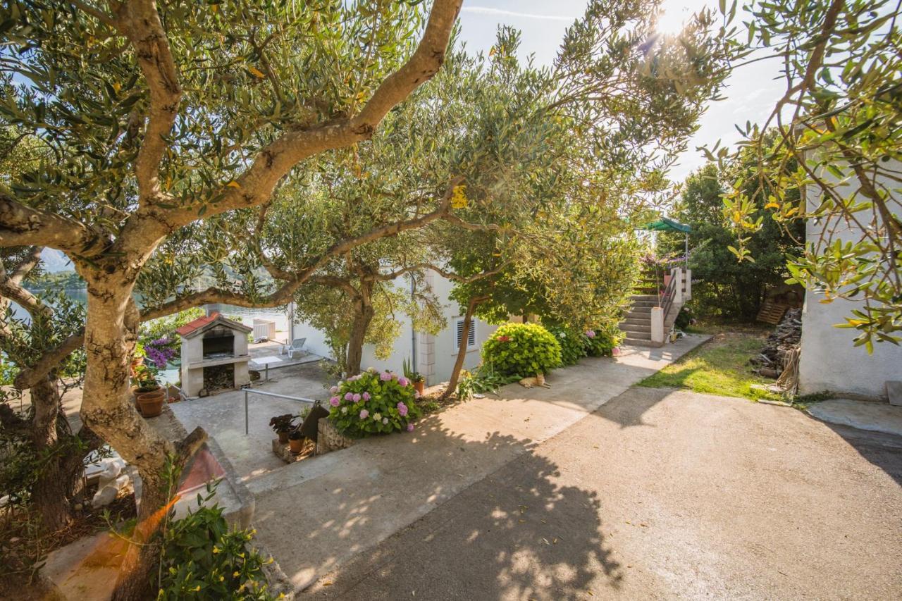 Apartments By The Sea Lumbarda, Korcula - 4446 المظهر الخارجي الصورة