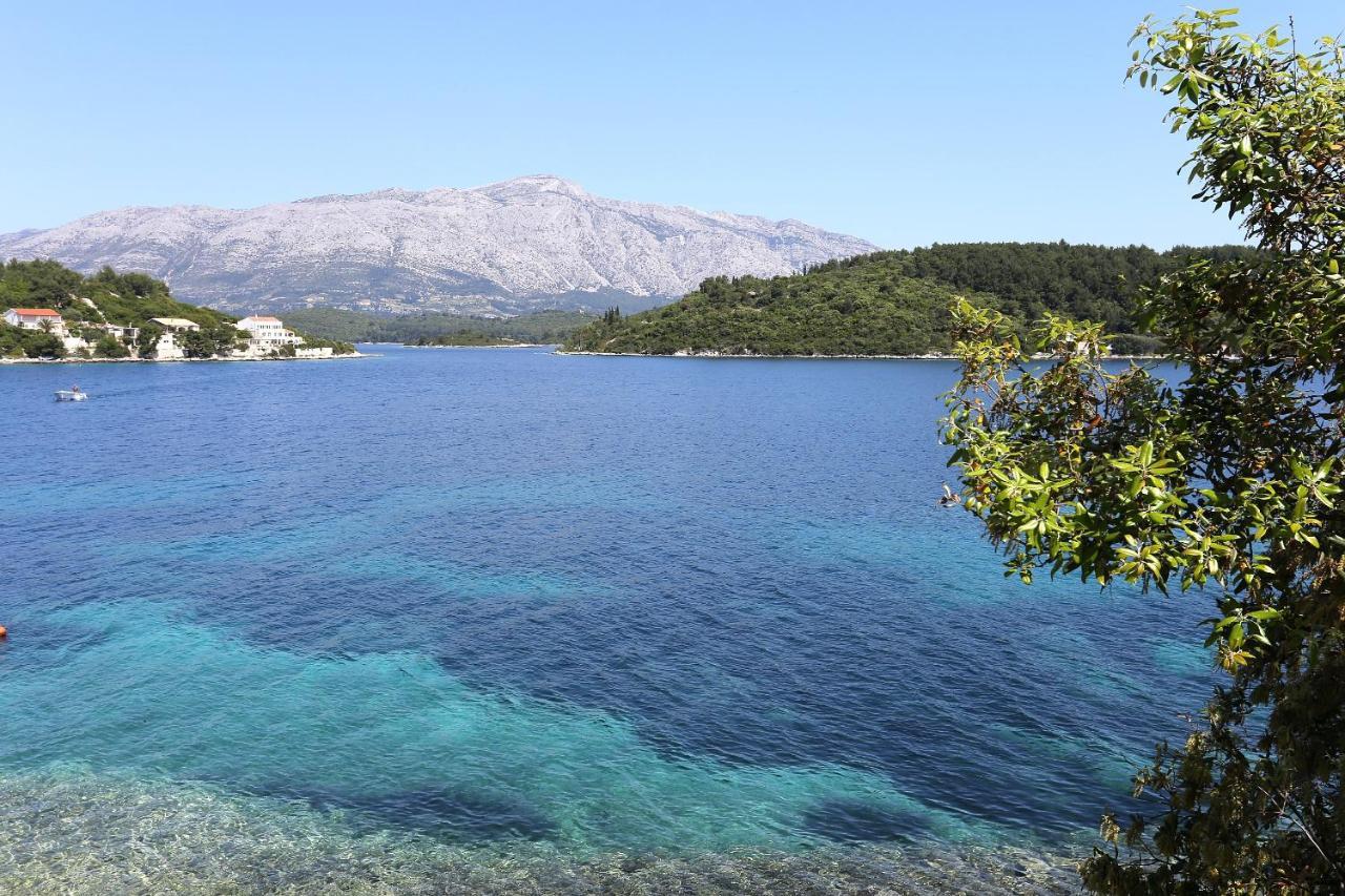 Apartments By The Sea Lumbarda, Korcula - 4446 المظهر الخارجي الصورة